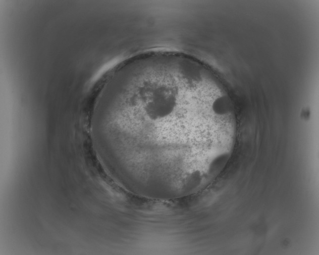 X0000092021255200709271542