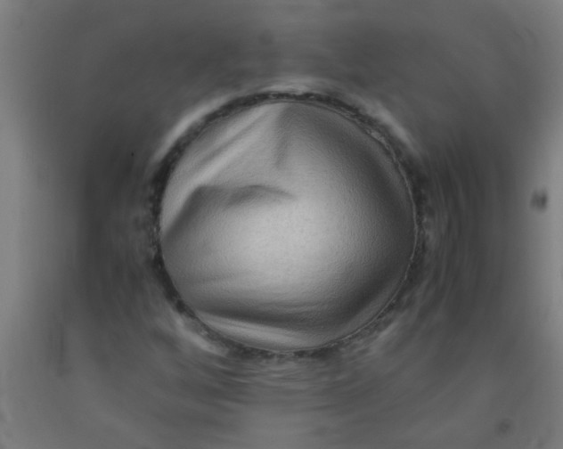 X0000092021256200709271542