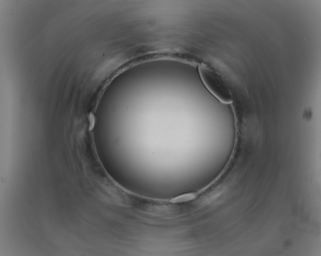 X0000092021257200709271542