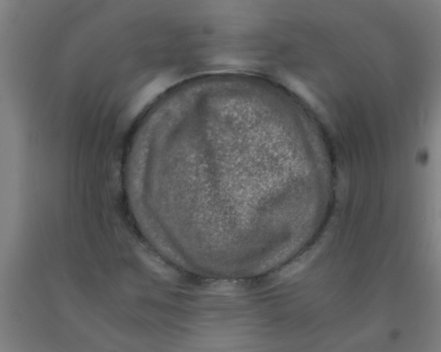 X0000092021259200709271542