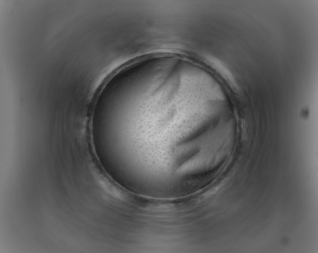 X0000092021260200709271542