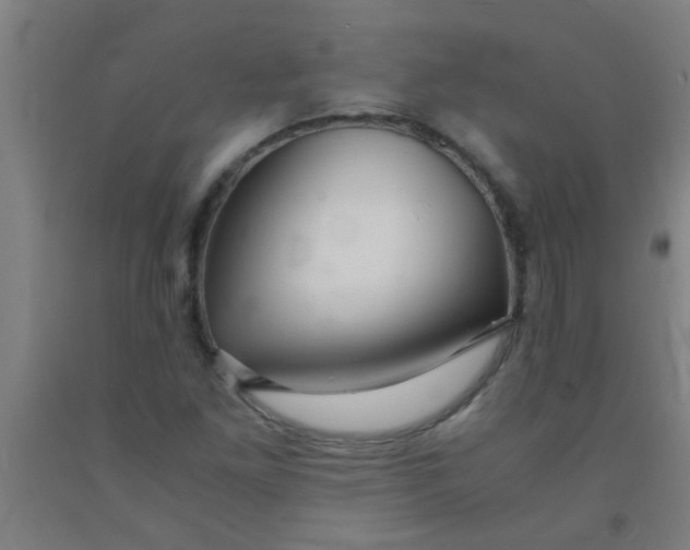 X0000092021261200709271542