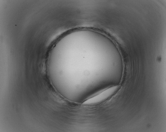 X0000092021262200709271542