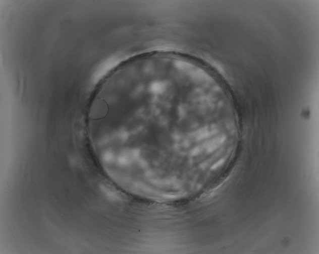 X0000092021263200709271542