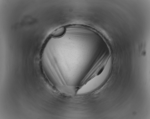 X0000092021264200709271542