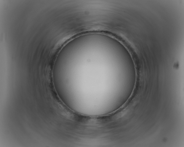 X0000092021265200709271542