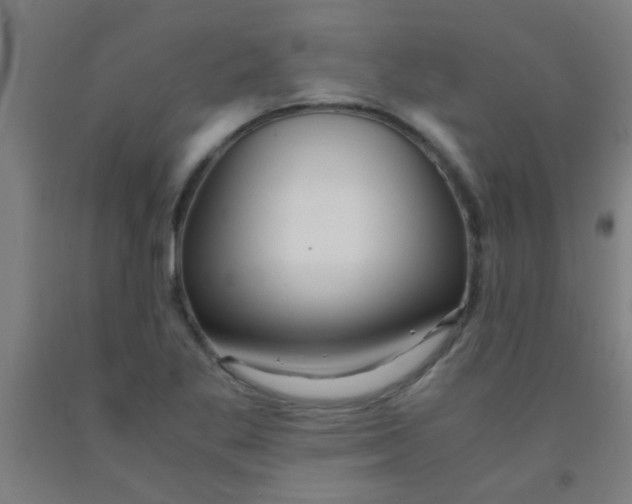 X0000092021269200709271542