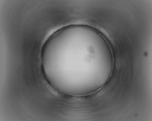 X0000092021270200709271542