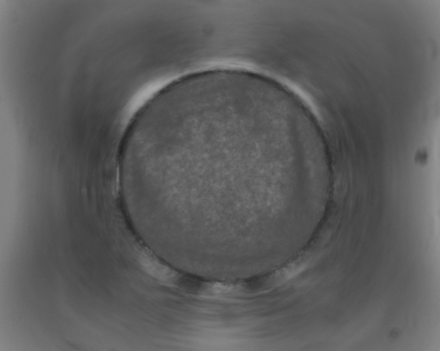 X0000092021271200709271542