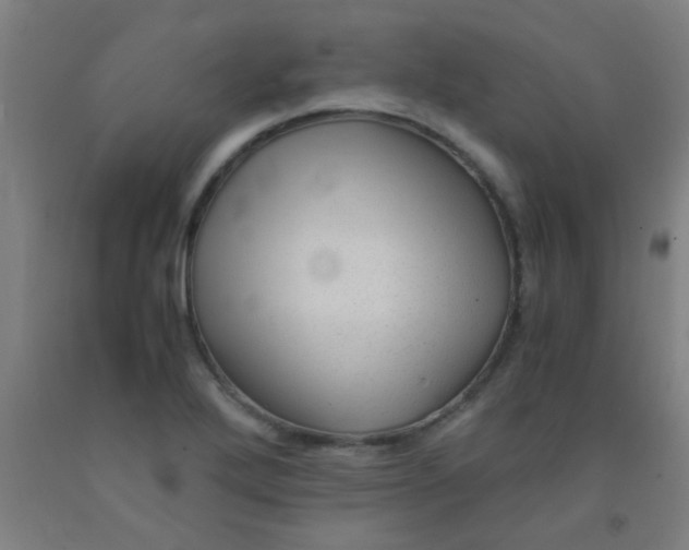 X0000092021272200709271542