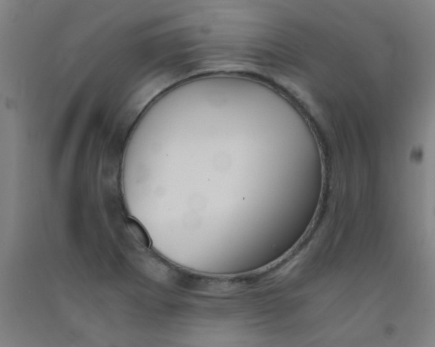 X0000092021273200709271542