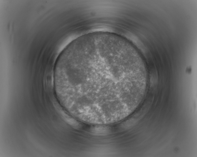 X0000092021274200709271542