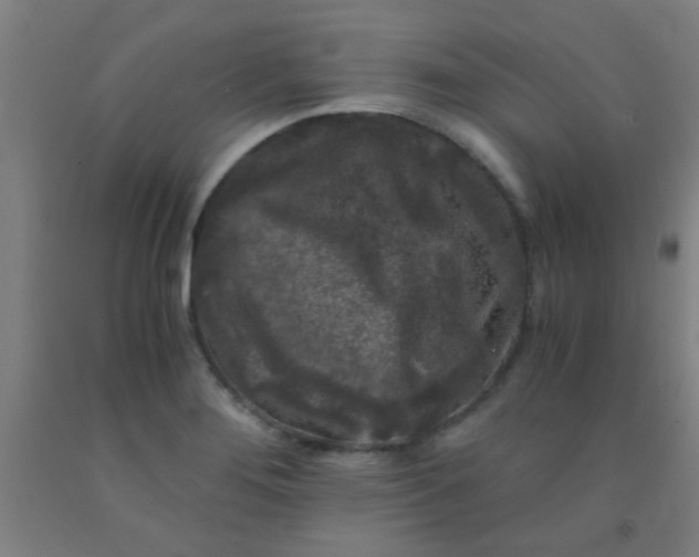 X0000092021276200709271542