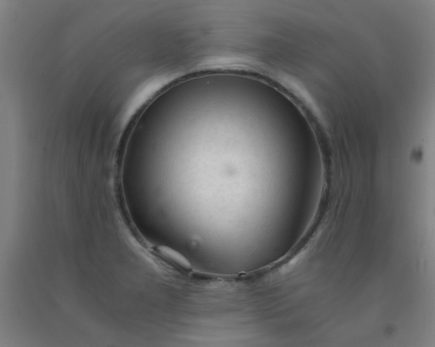 X0000092021277200709271542