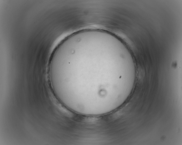 X0000092021278200709271542