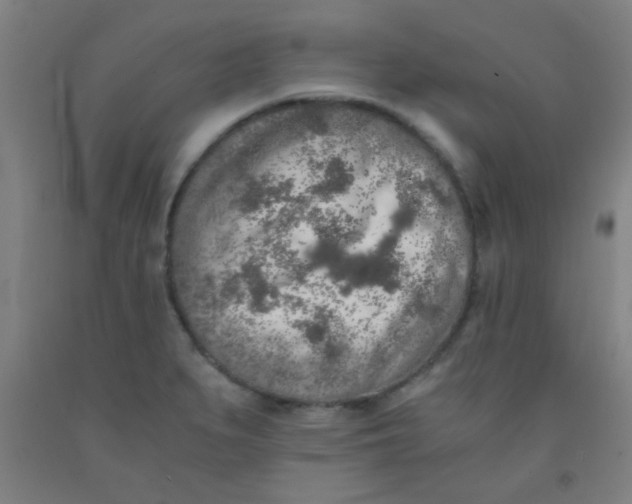 X0000092021279200709271542