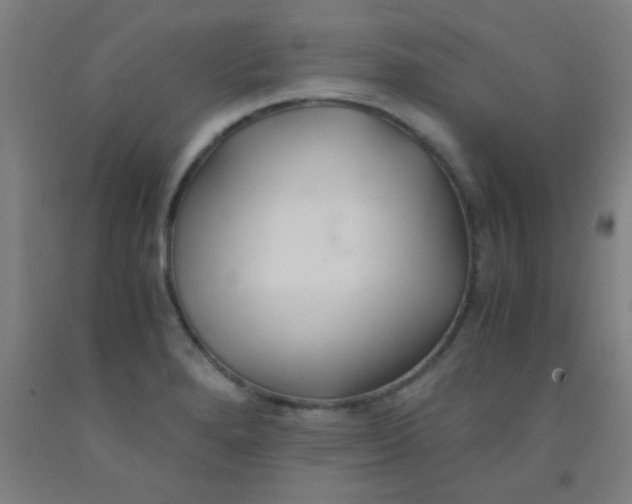 X0000092021280200709271542