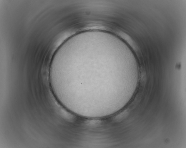 X0000092021282200709271542