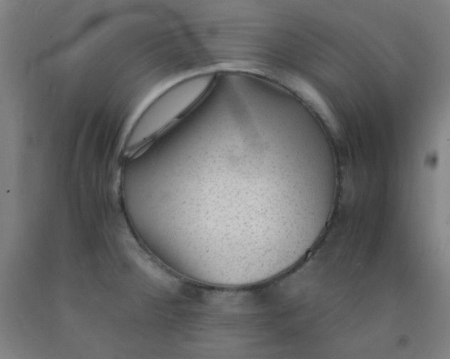 X0000092021284200709271542