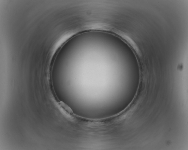 X0000092021285200709271542