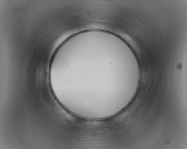 X0000092021286200709271542