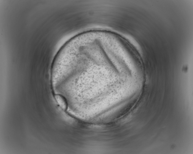 X0000092021287200709271542