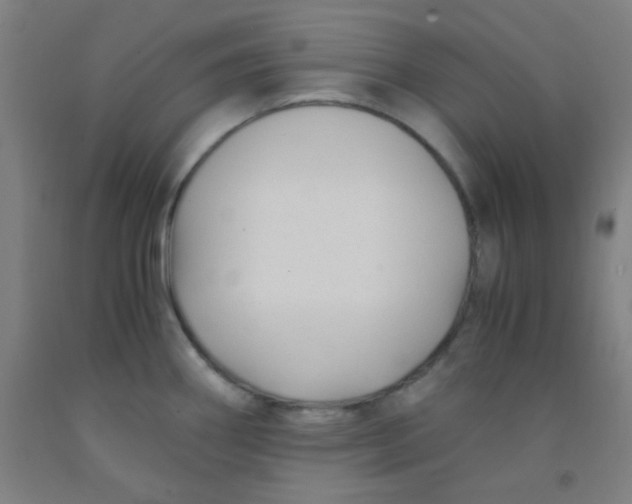 X0000092021290200709271542