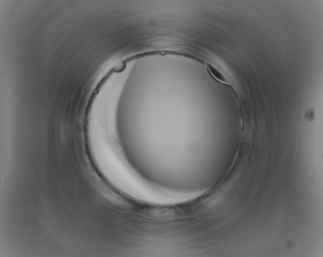 X0000092021291200709271542