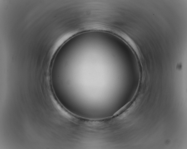 X0000092021293200709271541