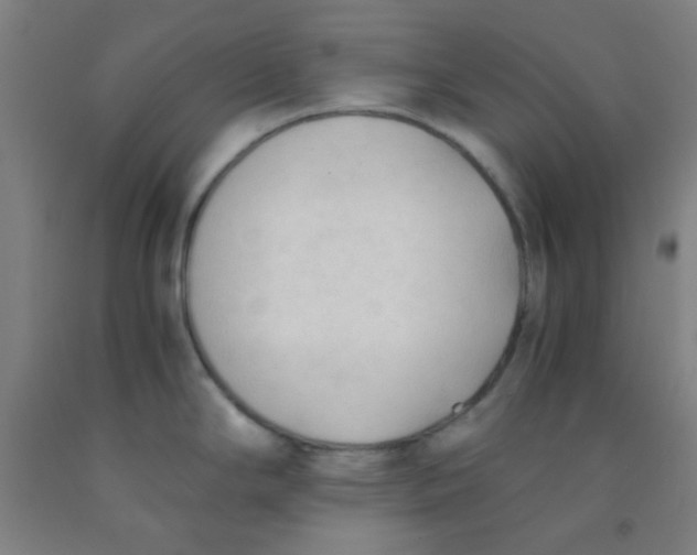 X0000092021294200709271541