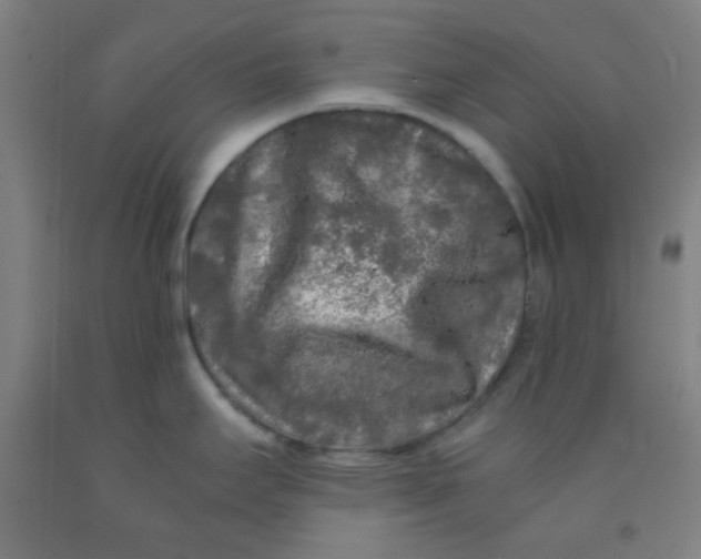 X0000092021295200709271541