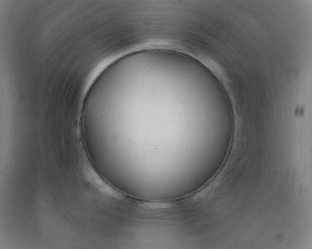 X0000092021296200709271541