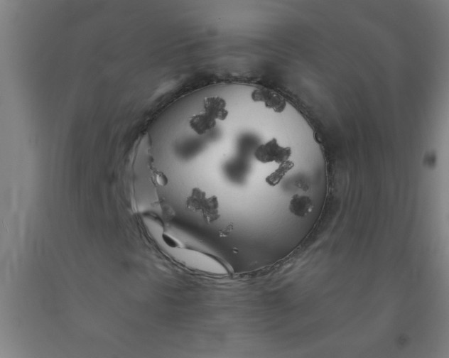 X0000092021297200709271541