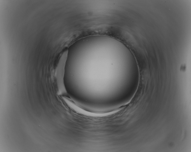 X0000092021298200709271541