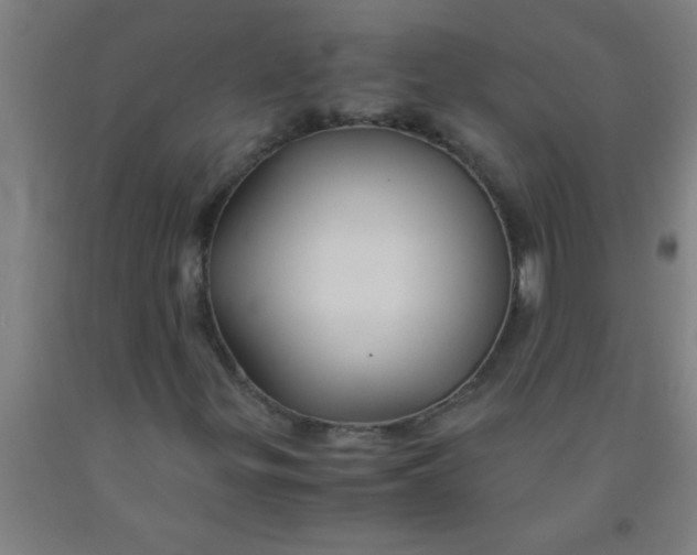 X0000092021299200709271541