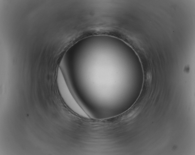 X0000092021300200709271541