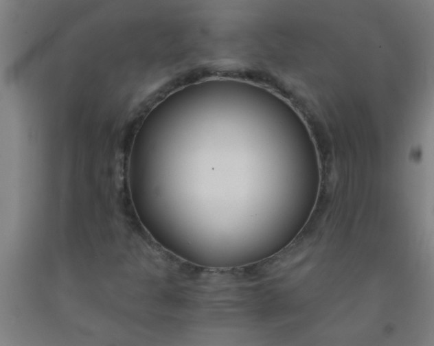 X0000092021301200709271541