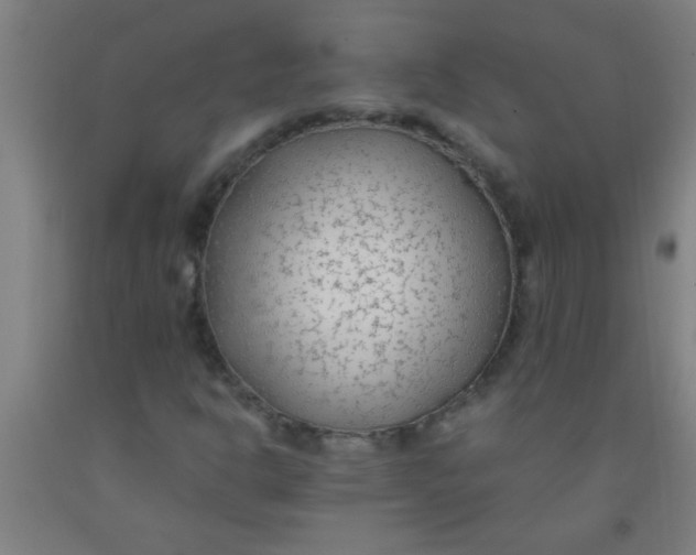 X0000092021302200709271541