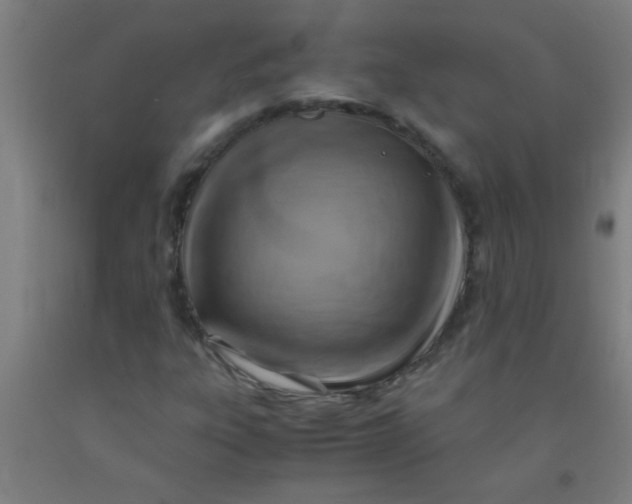 X0000092021303200709271541