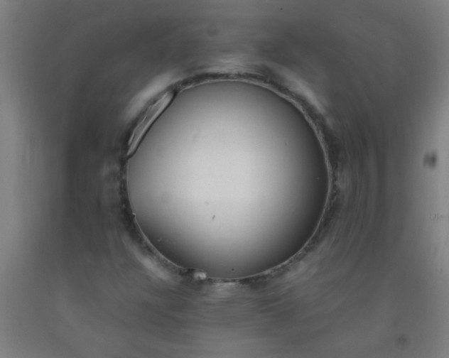 X0000092021304200709271541