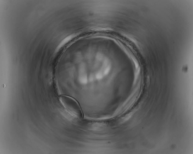 X0000092021306200709271541