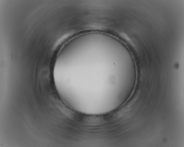 X0000092021307200709271541