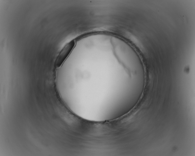 X0000092021308200709271541