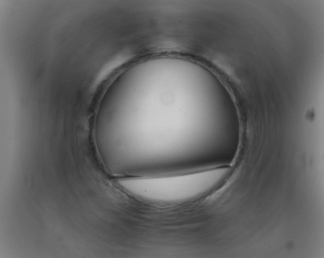 X0000092021309200709271541