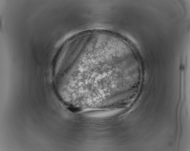 X0000092021310200709271541