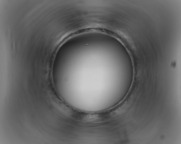 X0000092021313200709271541