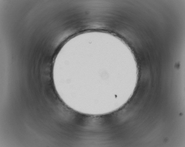 X0000092021314200709271541