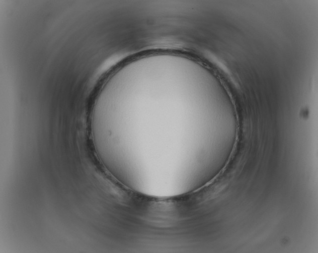 X0000092021315200709271541