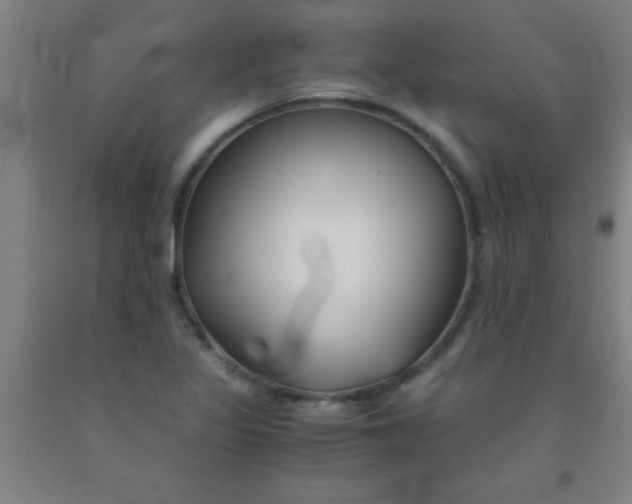 X0000092021317200709271541