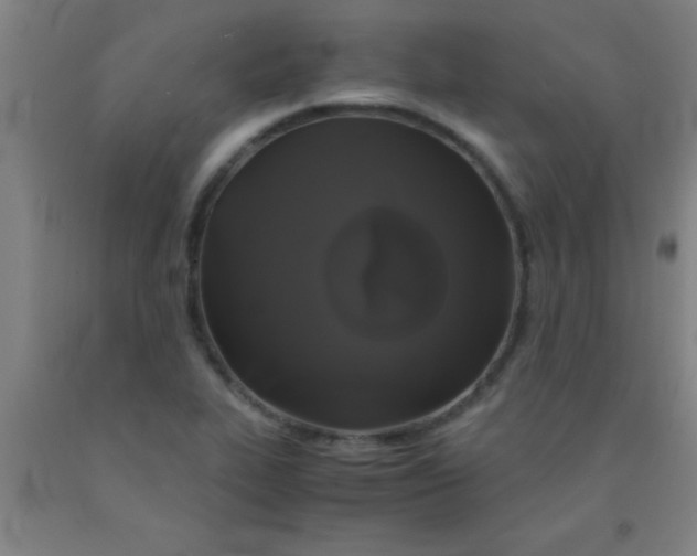 X0000092021319200709271541